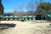 学校全体（1）